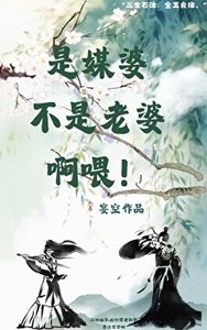 是媒婆不是老婆啊喂!