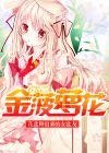 金菠蘿花